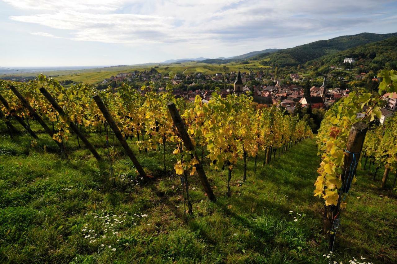 The One Apartment Ribeauville (Haut-Rhin)